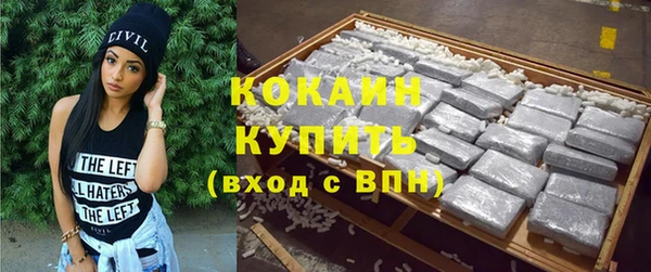 мдпв Заводоуковск